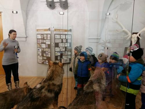 Návšteva múzea - Vlk dravý 